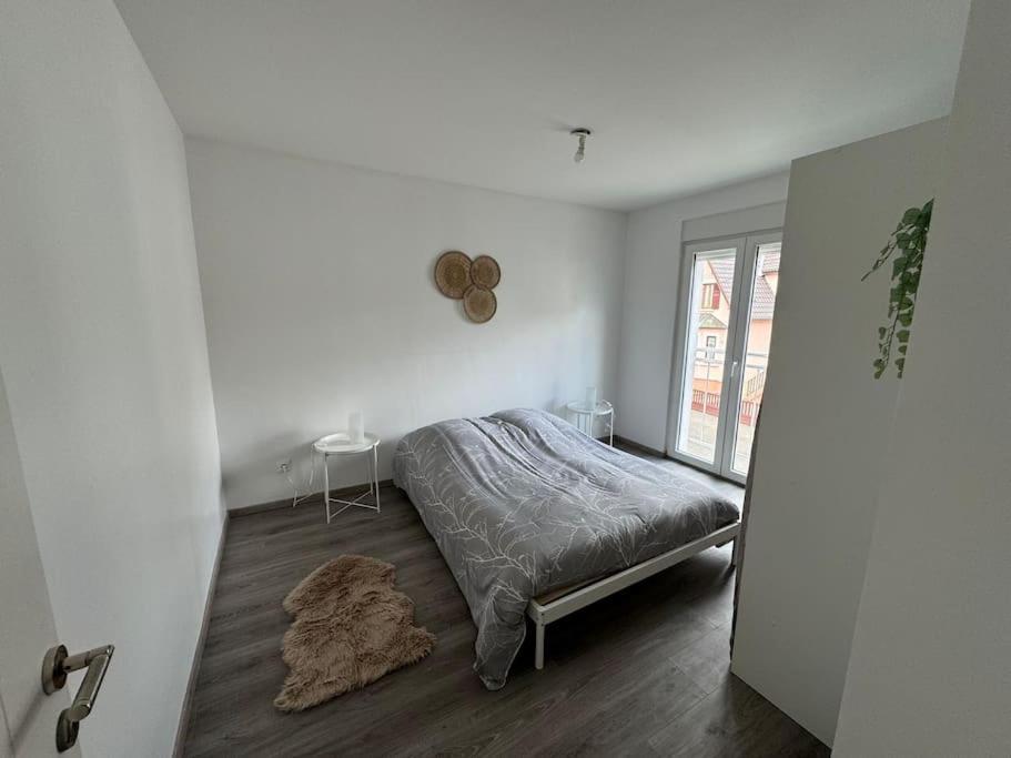 Instant Cosy Apartment สตราสบูร์ก ภายนอก รูปภาพ