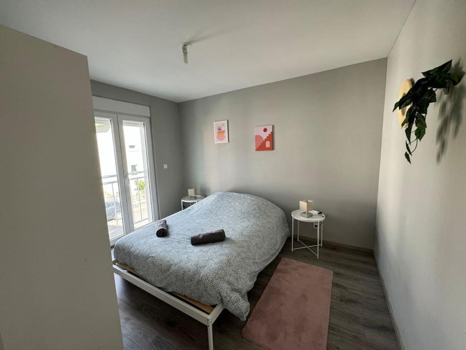 Instant Cosy Apartment สตราสบูร์ก ภายนอก รูปภาพ